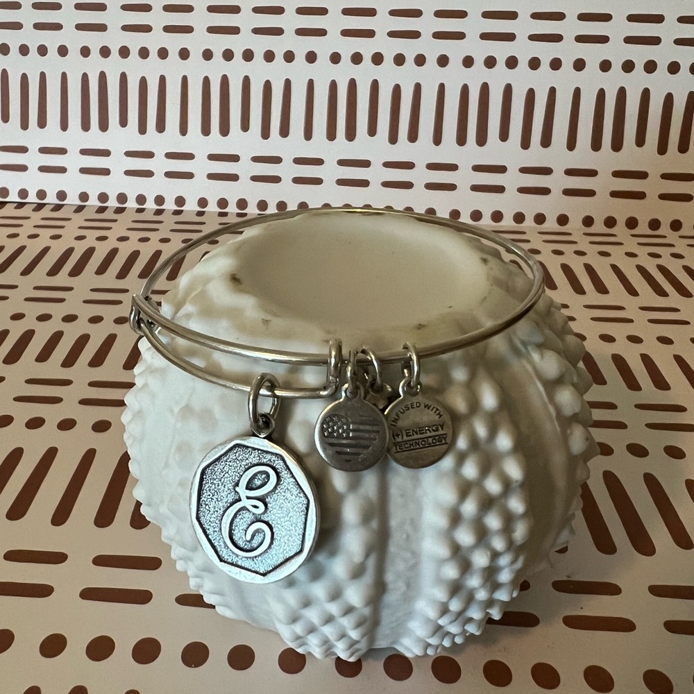 Alex and Ani silver E bangle